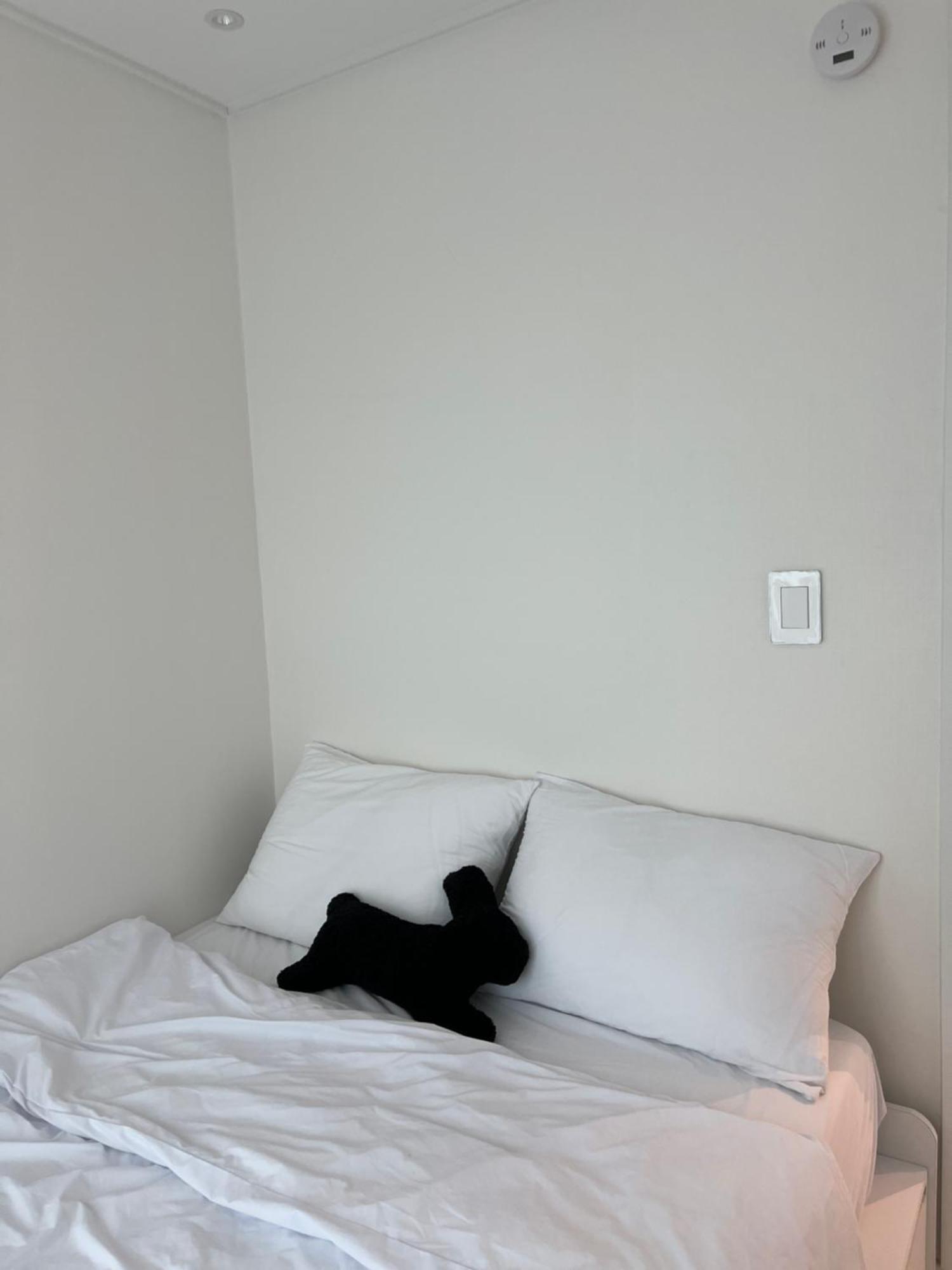 Appartement B